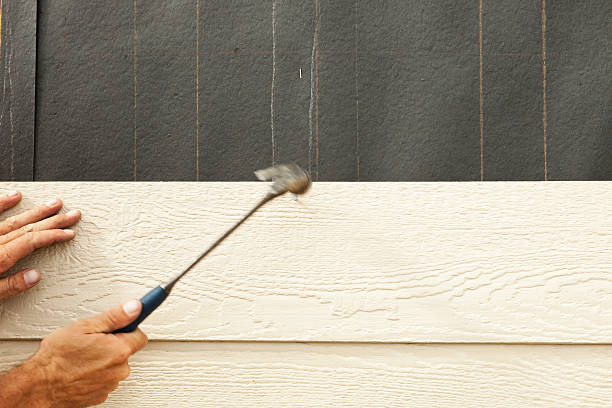 Best Aluminum Siding Installation  in Choudrant, LA